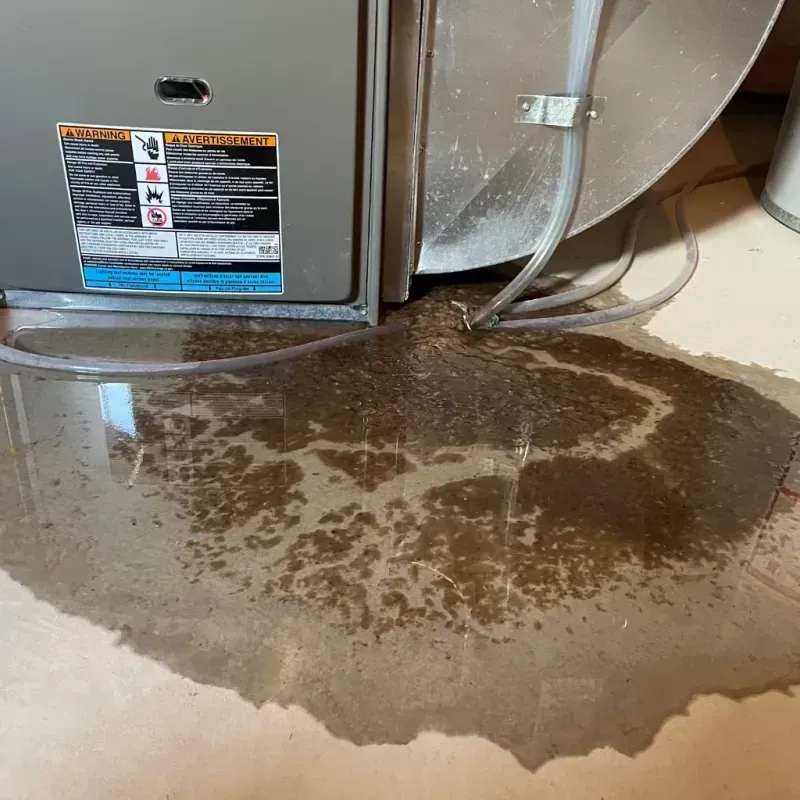 Appliance Leak Cleanup in Adams County, OH